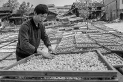 茯苓干燥易碎裂吸濕怎么辦？茯苓烘干機助力企業規模化生產!
